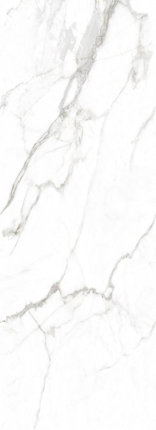 White Premium Polished Stellar 100x275
